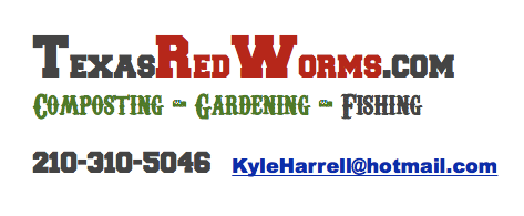 where to buy red worms