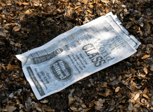 section of wet newspaper