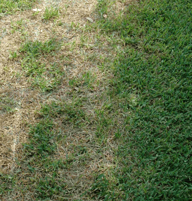 Screen shot 2012-07-09 at 1.40.28 PM