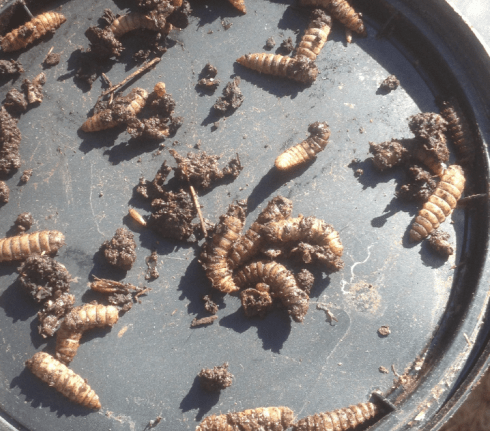 Screen Shot 2014-04-30 at 11.22.27 AM