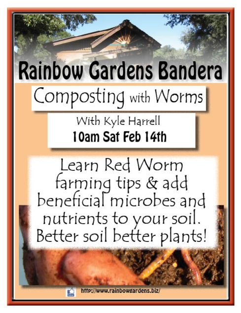 Composting with worms Bandera