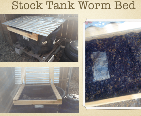 Screen Shot 2018-11-08 at 11.54.45 AM